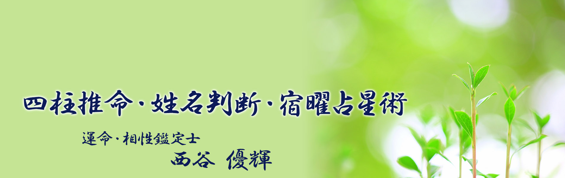運命 相性 姓名 判断